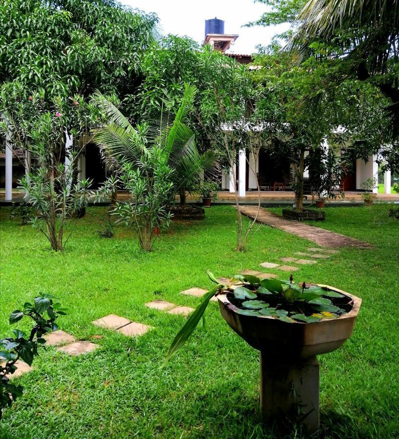 Castle View Sigiriya Hotel Eksteriør billede